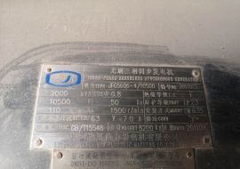 濟(jì)柴發(fā)電機(jī) 電壓10500v